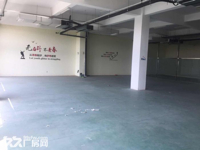 300−1580平方厂房仓库出租（配套齐全）-图4