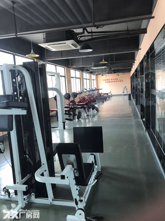 300−1580平方厂房仓库出租（配套齐全）-图6