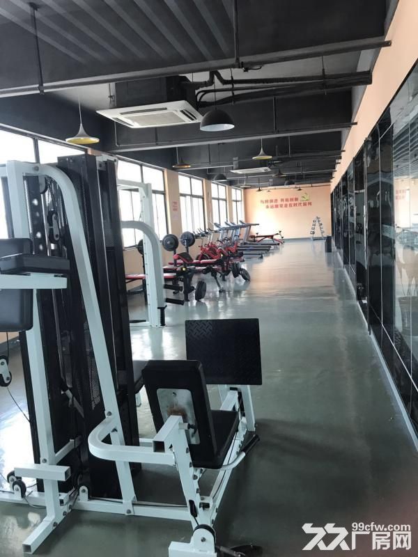 大面积厂房、仓库、写字楼在线招商中-图8