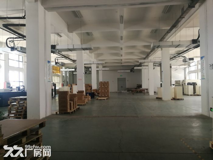 [非中介]805平厂房、仓库及精装修办公室招租中-图5