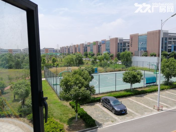 [非中介]805平厂房、仓库及精装修办公室招租中-图7