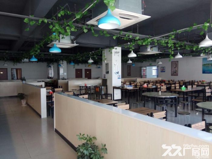 [非中介]805平厂房、仓库及精装修办公室招租中-图8