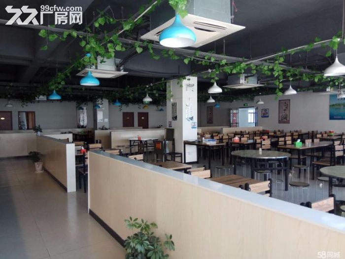 园区直租，交通便利、物流便捷、可环评！-图5