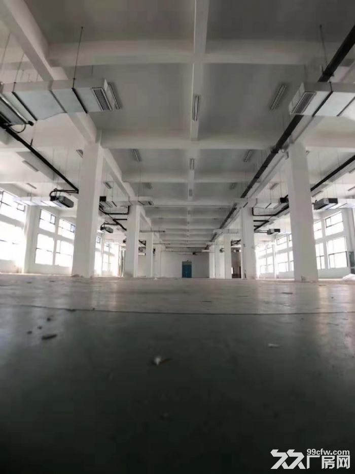 雨山经济开发区 仓库 厂房