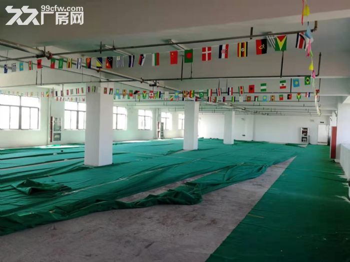 雨山经济开发区 仓库 厂房-图5