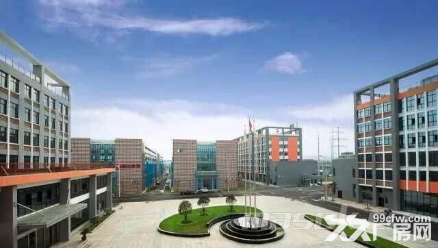 【优质推荐】青网科技园整层290−1580㎡  政府园区政策好 配套一流