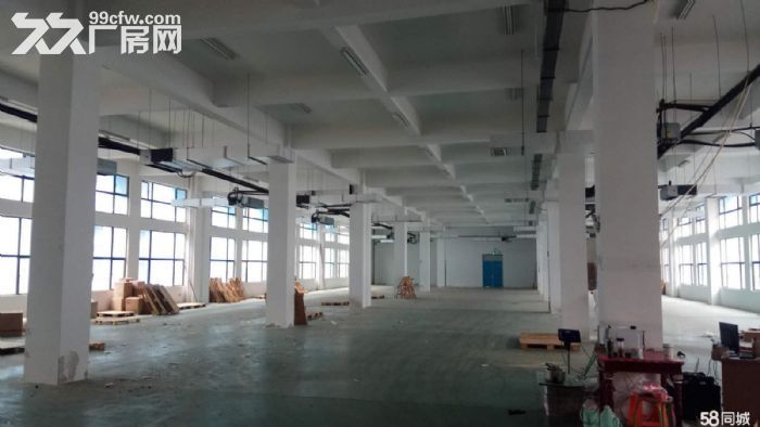 【优质推荐】青网科技园整层290−1580㎡  政府园区政策好 配套一流-图5