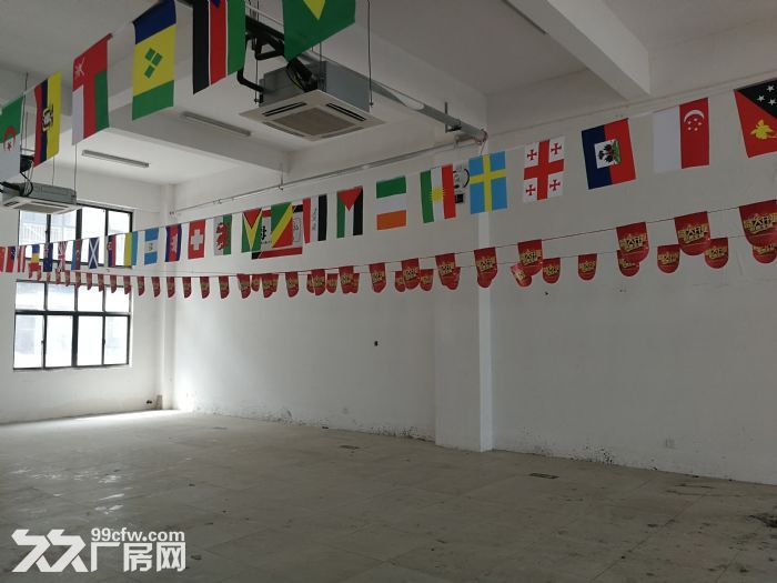 小杨墙裂推荐省成本，节省人力来这里就对了。-图8