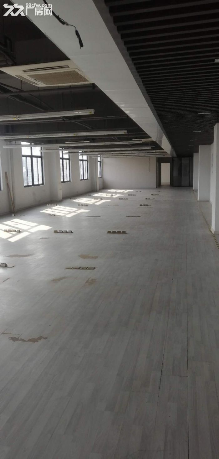 平层1580平，有月台电梯，政府园区，免租期，政策项目稳