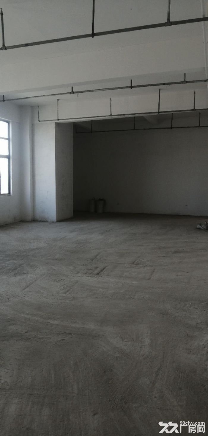 平层1580平，有月台电梯，政府园区，免租期，政策项目稳-图2