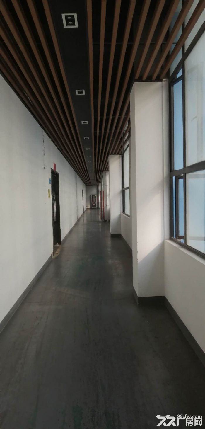平层1580平，有月台电梯，政府园区，免租期，政策项目稳-图4