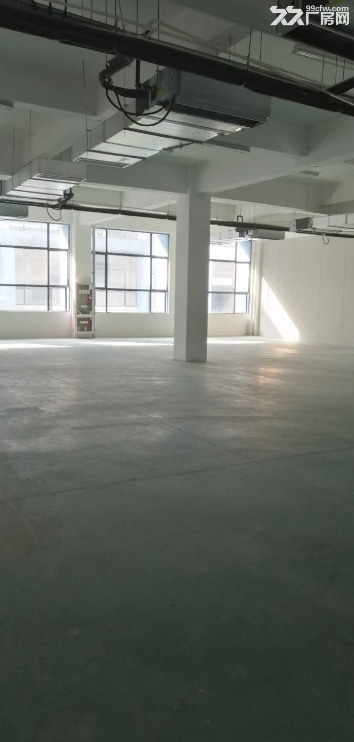 平层1580平，有月台电梯，政府园区，免租期，政策项目稳-图3