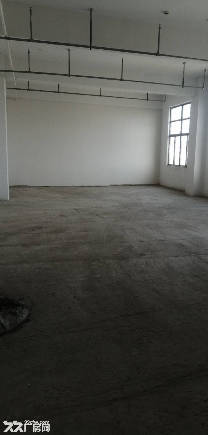 平层1580平，有月台电梯，政府园区，免租期，政策项目稳-图5