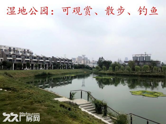 315平仓储式办公，一体化，环境好 配套齐 政策好-图6