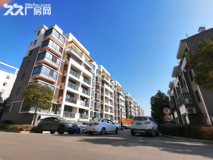 315平仓储式办公，一体化，环境好 配套齐 政策好-图8
