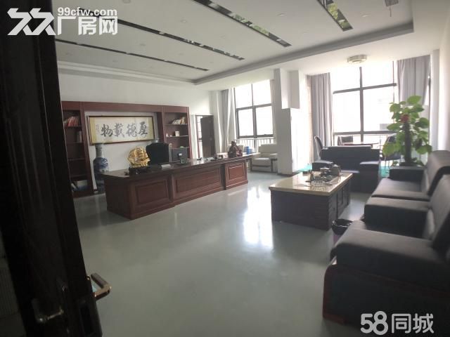 政府园区495平 电子商务产业园 可仓储可办-图8