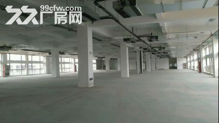[小陶力荐]经开区500到1580标准化厂房园区直租-图2