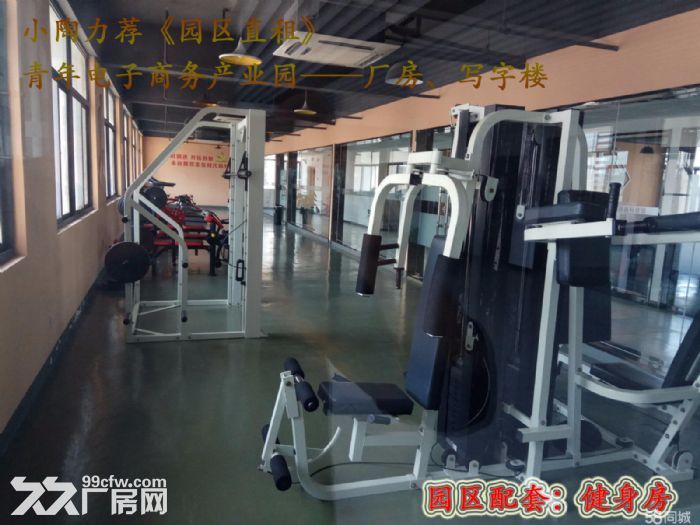 [小陶力荐]经开区500到1580标准化厂房园区直租-图4